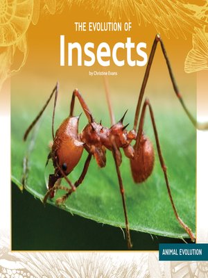 cover image of The Evolution of Insects